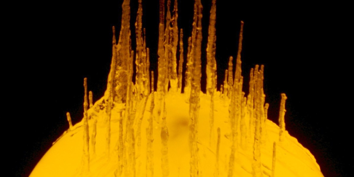 Detailed guide to top features in online casinos in Australia