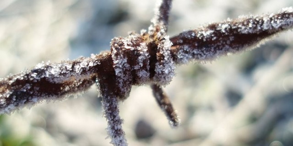 Billionaire Bruce Mathieson-Backed Star In Talks To Sell Brisbane Casino To Hong Kong Partners