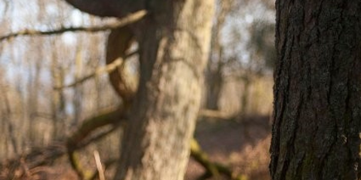 10 найкращих готелів, Канберра, Австралія від UAH 3 268