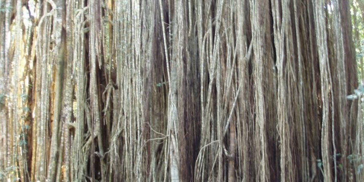 Link to Download on iOS and Android Devices