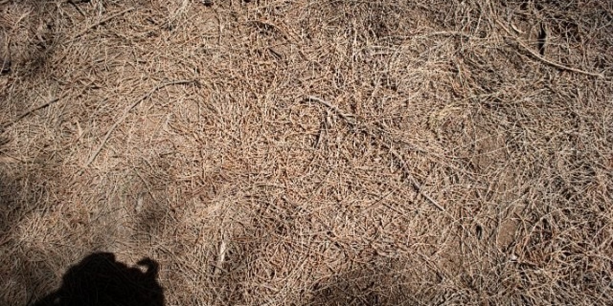 Casino, New South Wales Wikipedia