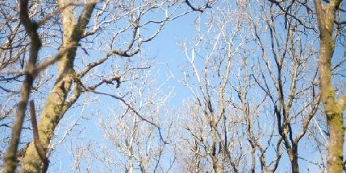 SkyCrown Online Casino Login & Get Bonus 120% + 125 FS