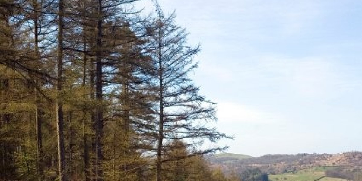 Bonuses, Games, App & Payouts