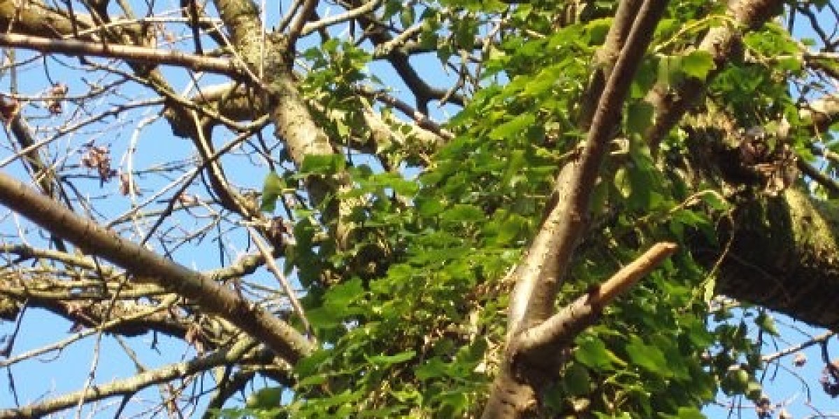 The Star Gold Coast Tickets & 2025 Concert Schedule Broadbeach, Australia